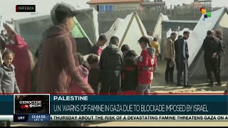 Palestine UN warns of famine in Gaza due to blockade imposed by Israel [upl. by Jaynes]