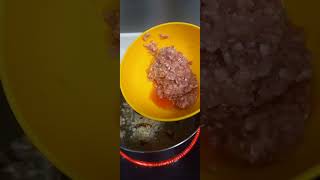 minced beef [upl. by Risan]