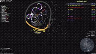 slitherio susanoo コミュ障で世界一無口な配信者がすりざりおで発狂する動画 [upl. by Mcclenon]