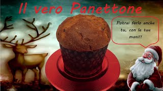 PANETTONE CLASSICO 😍 la videoricetta per un Panettone perfetto ✌ [upl. by Daugherty]