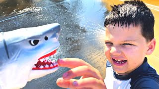 SHARK CHASE AT THE SPLASH PAD BABY SHARK SONG FOR KIDS PRETEND PLAY with Caleb [upl. by Cleopatra444]