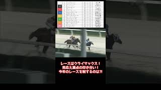 【競馬予想】ハイセイコー記念2024を展開とコースから予想する [upl. by Georgeta447]