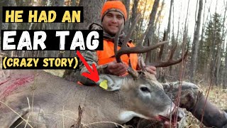 HUGE 10 POINT BUCK DOWN PUBLIC LAND Deer Hunting in Manitoba [upl. by Dulcine722]