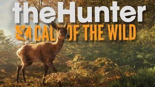 The Hunter Call of the Wild Beta Gameplay  Hunting is Hard  theHunter Call of the Wild [upl. by Daniel479]