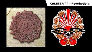 KALIBER 44  Psychodela OFFICIAL AUDIO [upl. by Riem]