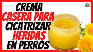 💚 CÓMO HACER UNA CREMA DE CALENDULA PARA CICATRIZAR HERIDAS EN LA PIEL DE LOS PERROS 💚 [upl. by Des]