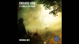 Enviado Vida  If I Could Live Again Original Mix [upl. by Lyrrehs67]