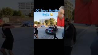 Pepper Spray Subdues Bully 😳 [upl. by Casandra]