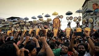 Thrissur Pooram Whatsapp Status Rain 2022 [upl. by Trahurn]