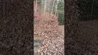 Ferris FB 3000 Stand On Leaf Blower POV [upl. by Ribble]