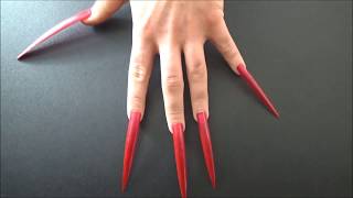 Delightful Tingles ASMR  Stiletto Nails on Chalkboard [upl. by Cerracchio]