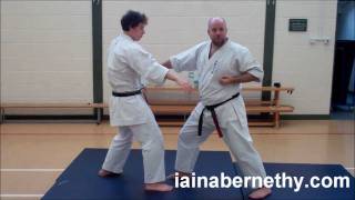 Practical Kata Bunkai Pinan Nidan  Heian Shodan Moves 3 to 6 [upl. by Boatwright]