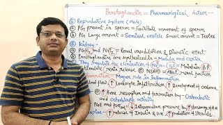 Prostaglandin Part 02  Pharmacological Action of Prostaglandins  Prostaglandins Pharmacology [upl. by Ahtnams]