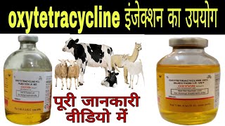 Oxytetracycline injection veterinary पशुओं में ऑक्सी टेट्रासाइक्लिन का उपयोग [upl. by Yenreit]