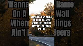 Rednecks Red Letters Red Dirt Morgan Wallen countrymusic music song morganwallen [upl. by Shaw]