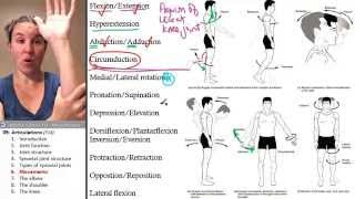 Articulations 6 Anatomical movements [upl. by Akinwahs]