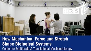 Mechanobiology How Mechanical Force and Stretch Shape Biological Systems  Boston University [upl. by Powell]