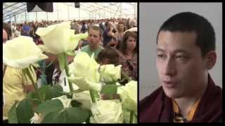 HH the 17th Karmapa in Hungary [upl. by Etnuahc453]