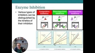 Enzyme Inhibition Overview [upl. by Waal734]