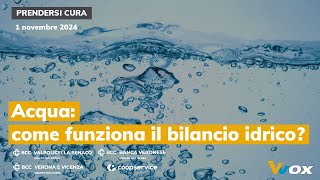 ACQUA COME FUNZIONA IL BILANCIO IDRICO [upl. by Nylyahs]