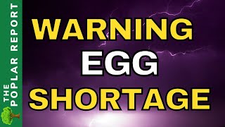 WARNING THIS Is About To Cause HUGE Problems  Food Shortage Updates [upl. by Hterrag724]