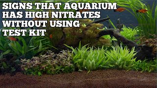 HOW TO KNOW IF AQUARIUM HAS HIGH IN NITRATES WITHOUT USING A TEST KIT [upl. by Eelrefinnej]