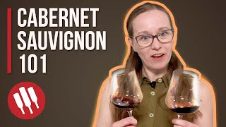 Cabernet Sauvignon Everything You Need To Know  Grapes 101 [upl. by Bale]