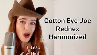 Cotton eye Joe  Rednex  Harmonized • Miekes Voice [upl. by Ydnak898]