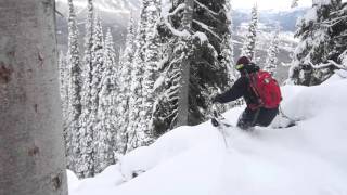 It wont stop snowing Insane Day at Fernie Alpine Resort [upl. by Chrysler]