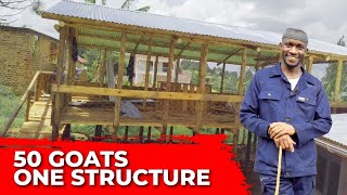 Building Our Goat and Poultry Farm – From the Ground Up [upl. by Callean]