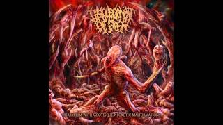 Disfigurement Of Flesh  Decomposed Genitals [upl. by Notnad]