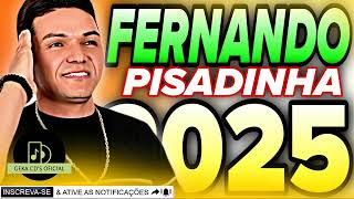 FERNANDO PISADINHA ATUALIZADO 2024 [upl. by Joao419]