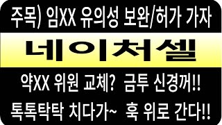 네이처셀 주가임XX 유의성 보완허가 가자약XX 위원 교체 금투매매 신경꺼톡톡 치다가 훅 위로 간다 네이처셀 네이처셀 주가 네이처셀 전망 네이처셀 주식 [upl. by Pinette702]