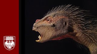 Making a Heterodontosaurus Flesh Model Paul Sereno — Video amp Sculpting by Tyler Keillor [upl. by Alda912]