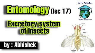 Excretory system of Insects • Entomology lec 17 • Go For Agriculture Education • icar bhu ibps [upl. by Enyawud]