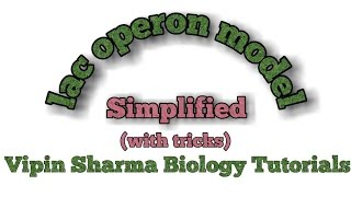 Regulation of gene expression lac operon concept  simplified for NEET and AIIMS [upl. by Moreno]