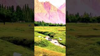 Nachral 4k video short nachral 4k 4kstatus [upl. by Analim]