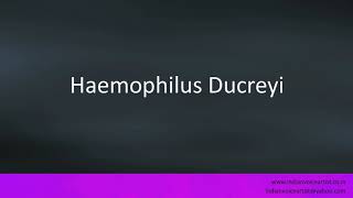 Pronunciation of the words quotHaemophilus Ducreyiquot [upl. by Asillim]