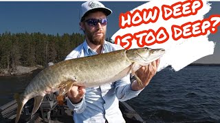 MUSKIES amp DEEP WATER Sept 924 vlog [upl. by Amle]