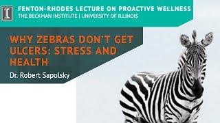 quotWhy Zebras Dont Get Ulcers Stress and Healthquot by Dr Robert Sapolsky Short [upl. by Leunas]