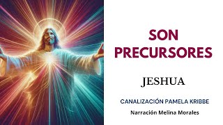 SON PRECURSORES💗 No estás Solo Vence tu Miedo💫 Mensaje de Jeshua 🦋Canalización Pamela Kribbe [upl. by Doak]