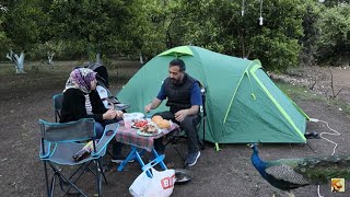 OlimposÇıralıda Kamp MaceramıztavuskuşuCampingkampçadırhuskytentBushcraft [upl. by Ireg]