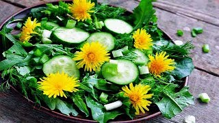 7 Edible Weeds That Are More Nutritious Than Vegetables  Gardening Tips [upl. by Ardnauqal]