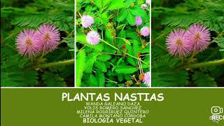 MOVIMIENTO DE LAS PLANTAS NASTIAS [upl. by Rasec]