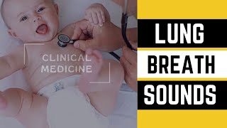 Normal and Abnormal Lung Sounds to Auscultate [upl. by Lucrece]