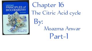 The Citric acid cycle chapter 16 lehninger principles of biochemistry Part1 in Urdu acetylcoA [upl. by Eneleh]