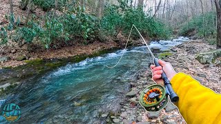 My Biggest Brook Trout of the Year Fly Fishing for brown brook and rainbow trout [upl. by Ahsasal837]