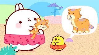 Molang 🐹 NUEVO 🐯 EL GATITO DIENTE DE SABLE 🔥 Super Toons TV Dibujos Animados en Español [upl. by Beryle]