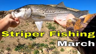 Spring Striped Bass Fishing at San Luis Reservoir 2024 [upl. by Atenahs847]