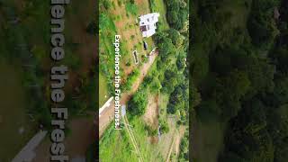 Farmland in bangalore 🏡🌿 greenlakes youtubeshorts natural bangalore [upl. by Yrevi]